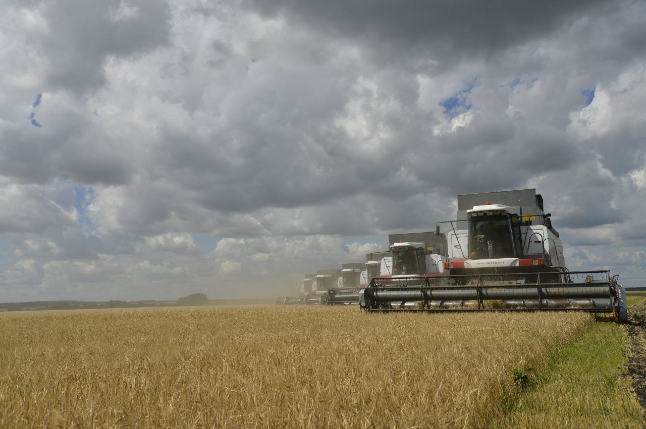 Саратовские аграрии перевыполнили годовой план по сбору зерна